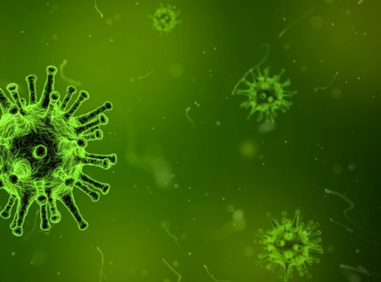 Händehygiene – Schutz gegen Grippeviren
