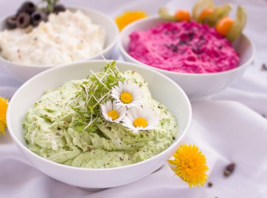 „Lecker snacken mit Frischkäse & Co“