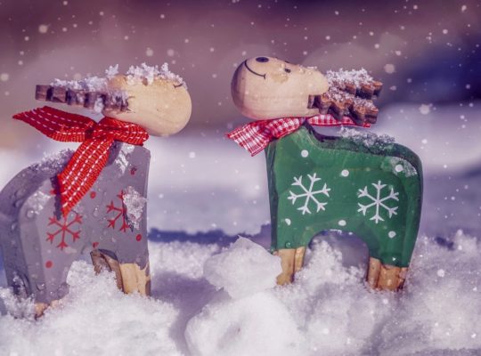 Weihnachtsprogramm 2019 Weihnachtsprogramm 2019